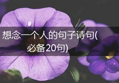 想念一个人的句子诗句(必备20句)