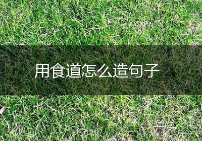 用食道怎么造句子