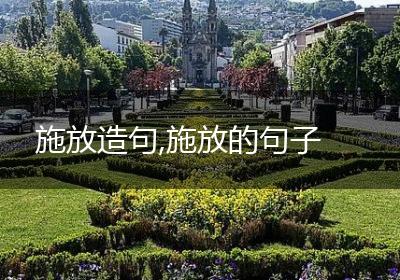 施放造句,施放的句子