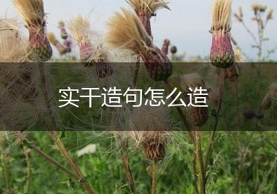 实干造句怎么造