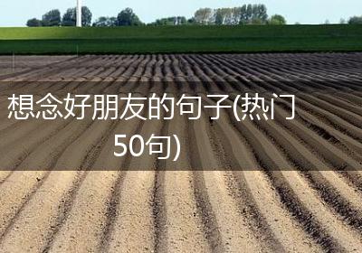 想念好朋友的句子(热门50句)