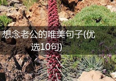 想念老公的唯美句子(优选10句)