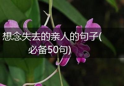 想念失去的亲人的句子(必备50句)
