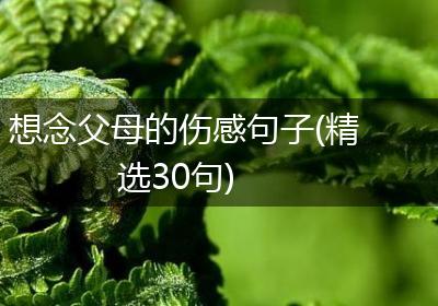 想念父母的伤感句子(精选30句)