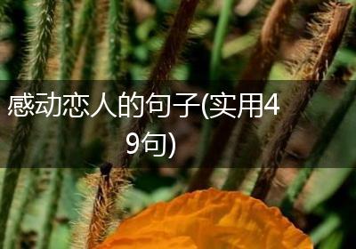 感动恋人的句子(实用49句)