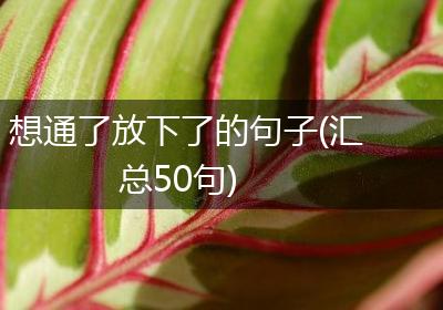 想通了放下了的句子(汇总50句)