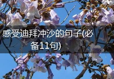 感受迪拜冲沙的句子(必备11句)