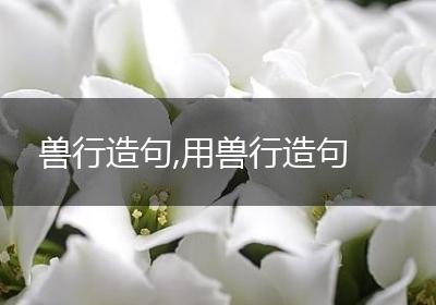 兽行造句,用兽行造句