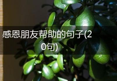 感恩朋友帮助的句子(20句)