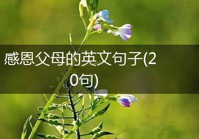 感恩父母的英文句子(20句)