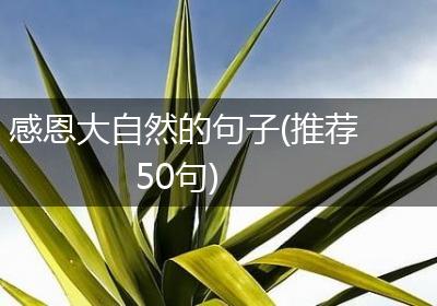 感恩大自然的句子(推荐50句)