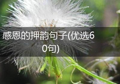 感恩的押韵句子(优选60句)