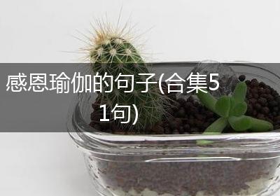 感恩瑜伽的句子(合集51句)