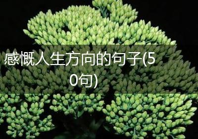 感慨人生方向的句子(50句)