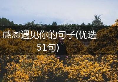 感恩遇见你的句子(优选51句)
