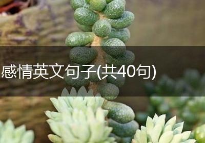 感情英文句子(共40句)