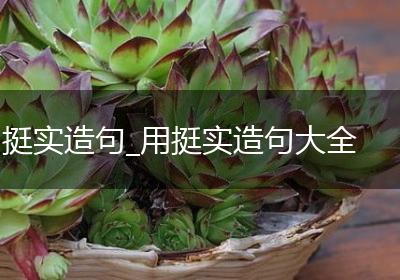 挺实造句_用挺实造句大全
