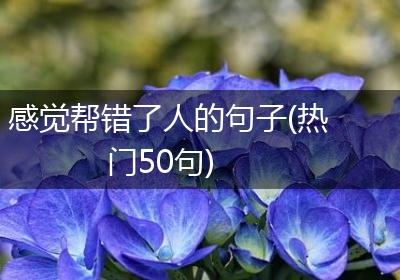 感觉帮错了人的句子(热门50句)