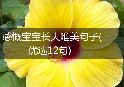 感慨宝宝长大唯美句子(优选12句)