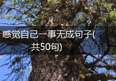 感觉自己一事无成句子(共50句)