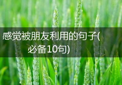 感觉被朋友利用的句子(必备10句)