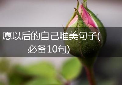 愿以后的自己唯美句子(必备10句)