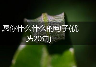 愿你什么什么的句子(优选20句)