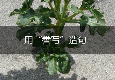 用“誊写”造句