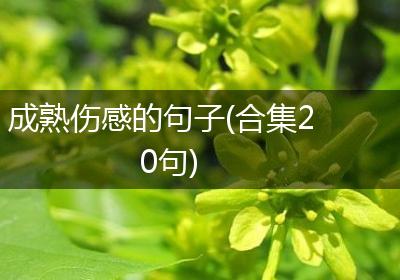 成熟伤感的句子(合集20句)