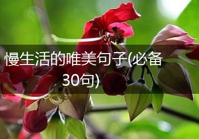 慢生活的唯美句子(必备30句)