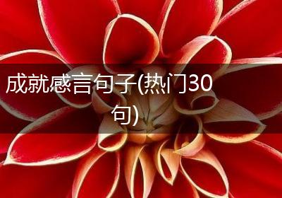 成就感言句子(热门30句)