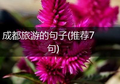 成都旅游的句子(推荐7句)