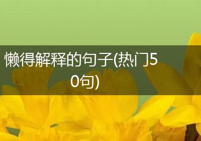 懒得解释的句子(热门50句)