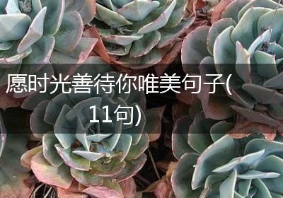 愿时光善待你唯美句子(11句)