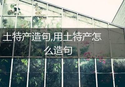 土特产造句,用土特产怎么造句
