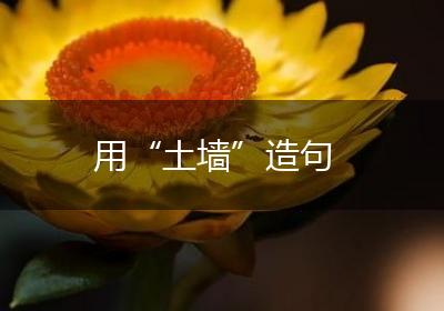 用“土墙”造句