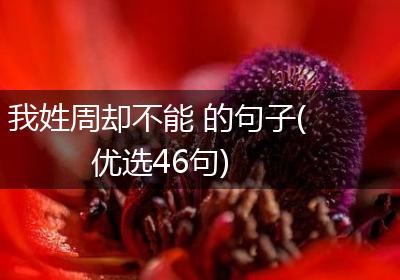 我姓周却不能 的句子(优选46句)