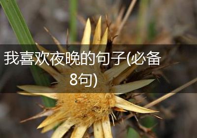 我喜欢夜晚的句子(必备8句)