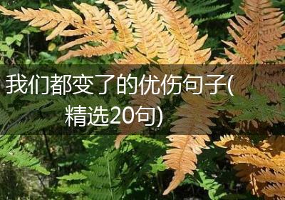 我们都变了的优伤句子(精选20句)