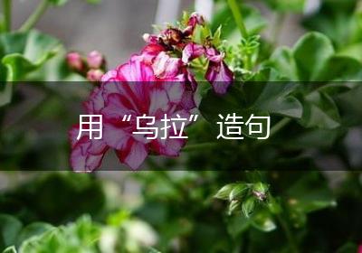 用“乌拉”造句