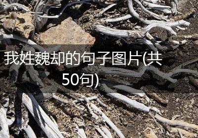 我姓魏却的句子图片(共50句)
