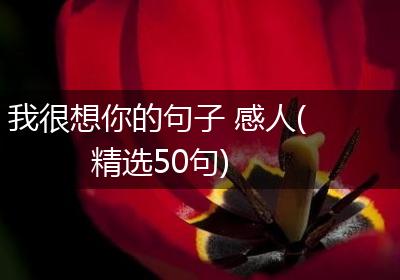 我很想你的句子 感人(精选50句)