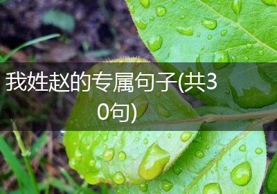 我姓赵的专属句子(共30句)