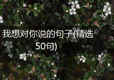 我想对你说的句子(精选50句)