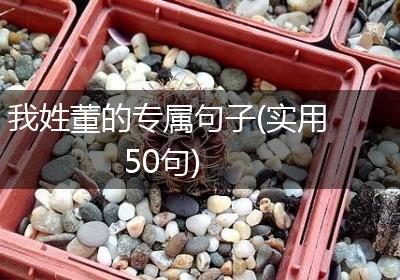我姓董的专属句子(实用50句)