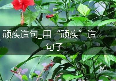 顽疾造句_用“顽疾”造句子