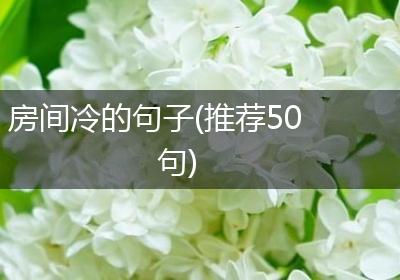 房间冷的句子(推荐50句)