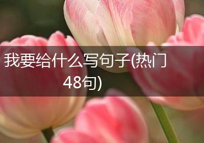 我要给什么写句子(热门48句)
