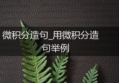微积分造句_用微积分造句举例