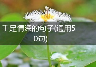 手足情深的句子(通用50句)